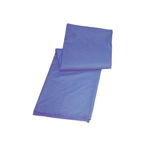 錒@NbNXiŌpړV[g}bgj@[W @M64RK07@4528732118177