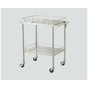 irXiAYj@XeXO[J[g(É^Cv) 2i 720×450×835mm@SS-2S@4560111759939