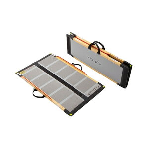 PAfBbNX@PAX[v@CS-100@4958519500015