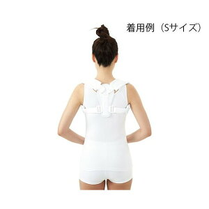 Dr.MED�@�N���r�N���X�v�����g�@30�`35cm �@DR-126-1S�@4589638408618