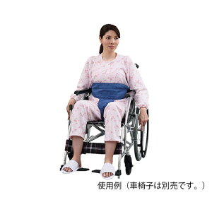 Ԉ֎qxg@XBMT@4589638169939 pi Ԉ֎q⏕pi