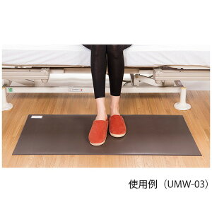 @Ռz}bgiAeB_[}bgj@500×1000×5mm@uE @UMW-03@4582310343702