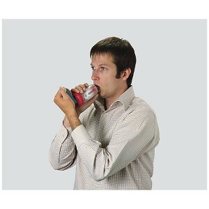 MDIpz⏕@EXy[X@6ΈȏΏہ@550540@4571137141462