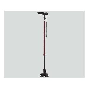 tWz[@Lk4|CgXebLi邪E4_DXj bh@WB3776@4977626733925