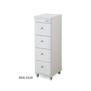 【法人様限定品 代引き不可 送料無料】隙間ワゴン(コンセント付き) 250×290×800 RSW-2529 4997701010048