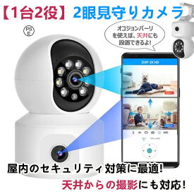 見守りカメラ 小型 防犯カメラ 家庭用 400万画素 iphone対応 赤外線暗視 監視カメラ 自動追尾 室内/屋外対応 ベビーモニター 動体検知 高齢者見守り スマホ通知双方向会話 24時間録画 Alexa対応 クラウド 防水/小型/人気/家庭用/赤ちゃん/子供/高齢者/犬/猫 屋内Wi-Fiカメラ