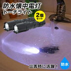 防水 懐中電灯 トーチライト 2個セット 防水懐中電灯 ライト 持ち運び コンパクト 2個セット ライト 照明 停電 災害対策 災害 コンパクト レジャー 地震 緊急 便利 小型 乾電池 停電対策 かいちゅうでんとう 防災グッズ 災害グッズ