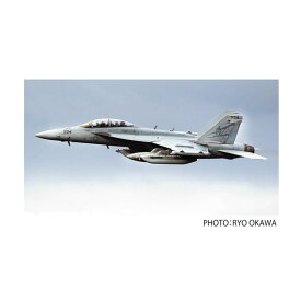 送料無料◆プラッツ/イタレリ TPA-29 1/48 アメリカ海軍 電子戦機 EA-18G グラウラー VAQ-131 ランサーズ 2020 ロービジ プラモデル （ZS112872）