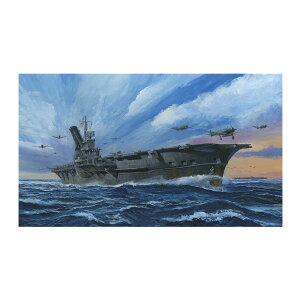 フジミ 特シリーズ No.21 1/700 日本海軍航空母艦 大鳳 (木甲板) プラモデル (ZS127050)