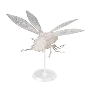 ^Pݒu ̒J̃iEVJ EVAu NAVer. l tBMA iZF129754j