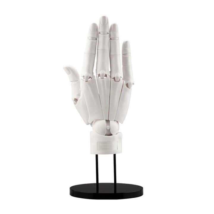 楽天市場】再販 ARTIST SUPPORT ITEM 1/1 ハンドモデル/R -WHITE 