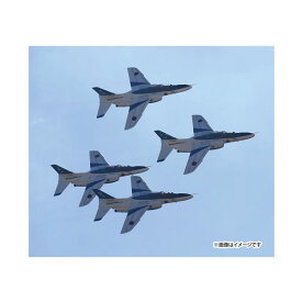 プラッツ 1/100 航空自衛隊 T-4 ブルーインパルス 2024 プラモデル 【6月予約】