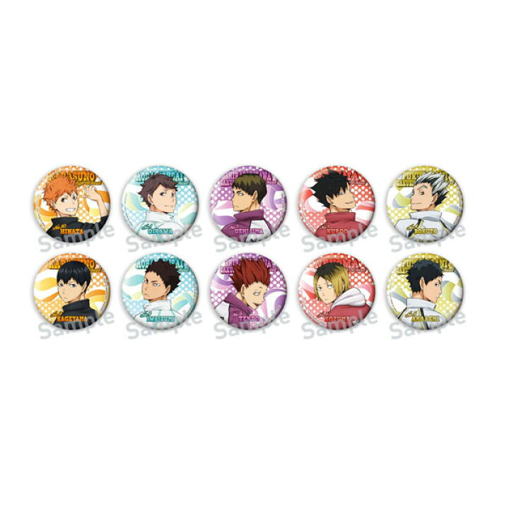 ハイキュー！！ カラパレ より道缶バッジ 全10種 未開封 5BOX 