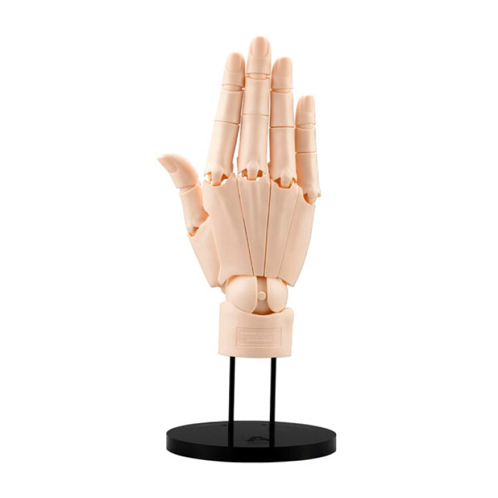 楽天市場】ARTIST SUPPORT ITEM 1/1 ハンドモデル/R -PALE ORANGE 