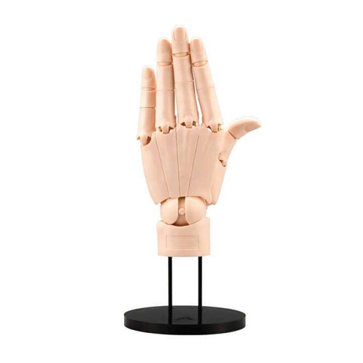 楽天市場】ARTIST SUPPORT ITEM 1/1 ハンドモデル/L -PALE ORANGE  