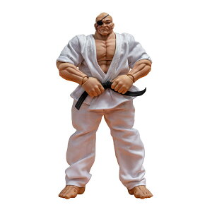 送料無料◆範馬刃牙 アクションフィギュア 愚地独歩 ストーム コレクティブルズ KIBK06 (ZF141776)