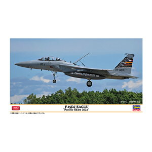 nZK 1/72 F-15DJ C[OgpVtBbNXJCY 2024h VfJ[ vf 02484 iZS140713j