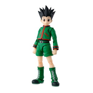 S.H.Figuarts HUNTER×HUNTER S o_CXsbc tBMA iZF142506j