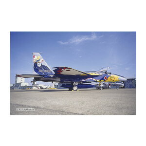 vbc 1/72 q󎩉q F-15J C[O 204s F-1510NLOh@ g~XeBbNC[Oh 1995 vf AC-100 iZS148609j