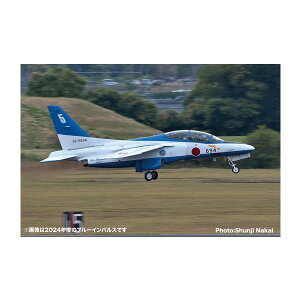 vbc 1/100 q󎩉q T-4 u[CpX 2025 B.I 30th Year vf BLU-2025 iZS149470j