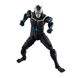 S.H.Figuarts b8 (Ĕ̔) o_CXsbc tBMA y10\z