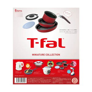 T-fal �~�j�`���A�R���N�V���� BOX�� �P���G���t�@���g (1BOX) �iZT157551�j