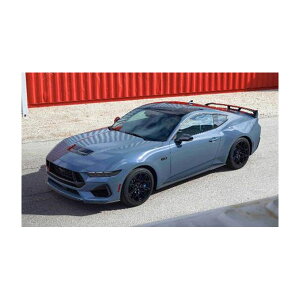 hCcx 1/25 2024 tH[hE}X^O GT (C[W[Lbg) SV^ vf 07743 y1\z