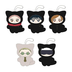 Ĕ p ݂܂ 5Zbg (1. ՏIm/2. b/3. BKN/4. Cl/5. ܏) GXJC y3\z