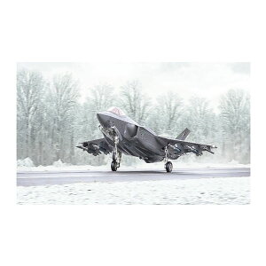 C^ 1/48 F-35A CgjOII r[Xg[h SV^ vf IT2836 y2\z