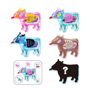 ̃pYFANTASY -- KnEX (1BOX) y2\z