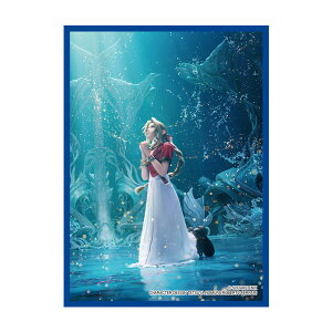 t@Cit@^W[ J[hX[uV[Y GAX (FFCSS-21) XNEFAEGjbNX y3\z