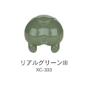 DSPIAE v~bNXh ({F) XG-303 AO[III y12\z