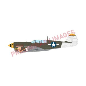 �G�f���A���h 1/48 P-40N �E�H�[�z�[�N �E�B�[�N�G���h�G�f�B�V���� �v�����f�� EDU84210 �iZS171063�j
