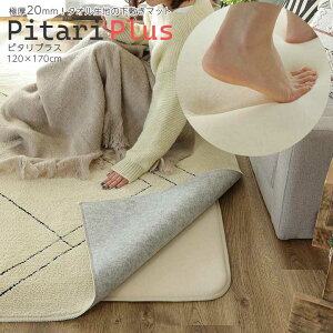 ~ O 120×170cm Pitari Plus 1.5 ` A_[O J[ybg }bg 􂦂 NbV E^ ~ h_j h h}bg ׂ~  zbgJ[ybgΉ g[Ή