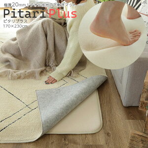 ~ O 170×230cm Pitari Plus 3 ` A_[O J[ybg }bg 􂦂 NbV E^ ~ h_j h h}bg ׂ~  zbgJ[ybgΉ g[Ή 