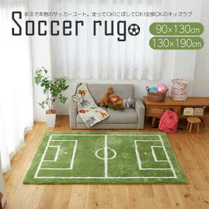 LbYO TbJ[ 90x130cm 130x190cm ` 􂦂 q CX^f v[g Q V a