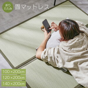 VR l܂  }bgX zAfqh VO 100×200cm Z~_u 120×200cm _u 140×200cm x C򉻍p RۖhL e  LbYXy[X V ̓ ̓