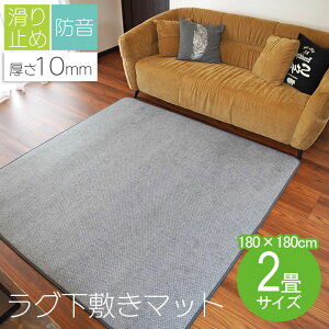 yԌő20%OFFN[|zO ~ 180×180cm E^10mm 2 A_[O ~ ɂ h ւɂ {[ NbV g[ zbgJ[ybgΉ V 