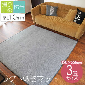 yԌő20%OFFN[|zO ~ 180×235cm E^10mm 3 A_[O 傫 TCY ~ ɂ h ւɂ {[ NbV g[ zbgJ[ybg