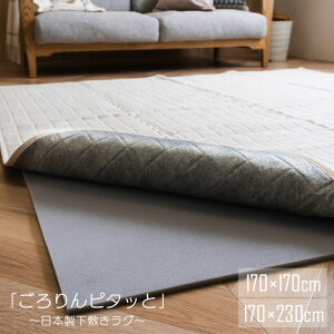 Jbgł ~O A_[O 170×170cm 170×230cm 10mm ~߃V[g E^ ӂ {[ ɂ t[Jbg O[ O}bg ` ` V ̓ 