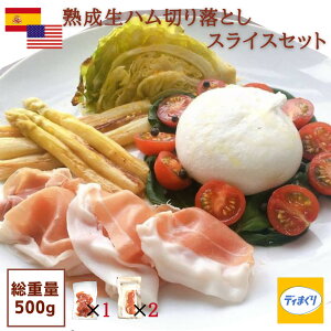 yXyCEAJYnnz󂠂 n Zbg 500g ؂藎Ƃ(100g×1pbN)XCX (200g×2pbN)yⓀz ؂藎Ƃ XCX vVbg nZ[m nn ƈ