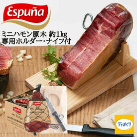 エスプーニャ社 ミニハモン（ハムホルダー・ナイフ付き）1kg 【冷蔵】訳あり 生ハム 原木 ミニ スペイン産 熟成 ハモンセラーノ 家飲み ホームパーティー お家居酒屋