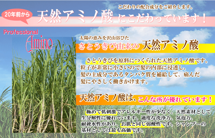 楽天市場】くせ毛 プロフェッショナル アミノ酸 海藻 ヘアケア