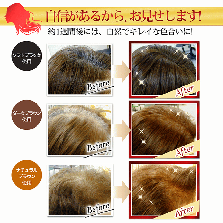 楽天市場】白髪染め カバーグレイ プレミアム 白髪染