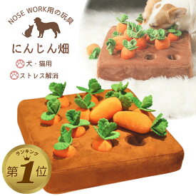 1位受賞 ノーズワーク にんじん 犬のおもちゃ ペット にんじん 畑 人参 ペット用品 犬 にんじん畑 ノーズワークマット 訓練 用品 嗅覚 トレーニング 犬 知育玩具 知育