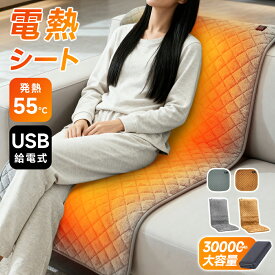 ★60%OFFクーポンで1,312円★ ヒータークッション ホットクッション パネルヒーター タイマー付 椅子用ヒーター シートヒーター ホットカーシート 電気シート 電気ヒーター 電熱シート 省エネ ホットカーペット ホットマット 腰 背中 お尻 座椅子 車内 暖房 節電