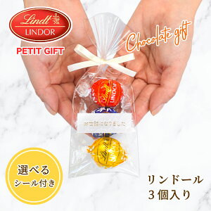 ސE c Lindt h[ bɂȂ܂ 3 v`Mtg 300~ 킢  `R[g E      2025 َq