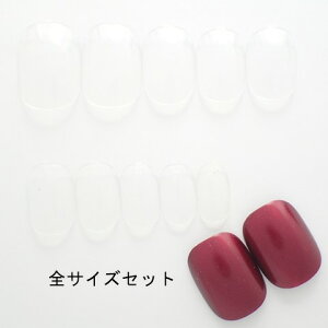 ショート ネイル クリアの人気商品 通販 価格比較 価格 Com