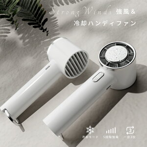 y݌ɏiyԌE15OFFN[|zz1,529~Qbg znfBt@ pv[g @ nfB [d@ ^  p [d @ ^@ h