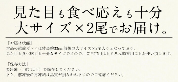 干物 越前ガレイ かれい カレイ 大サイズ 2尾 赤カレイ 赤ガレイ 赤鰈 越前がれい 鰈 新作揃え 越前がれい